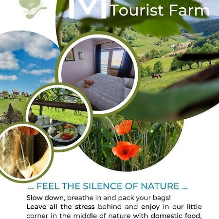 Masnec Tourist Farm Villa Miljana Dış mekan fotoğraf
