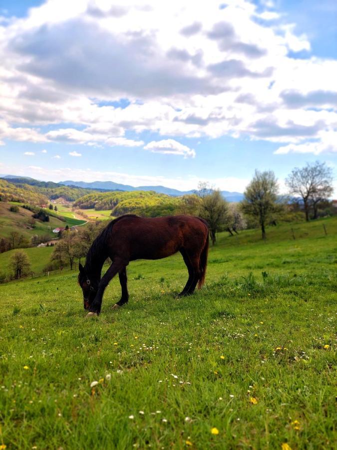 Masnec Tourist Farm Villa Miljana Dış mekan fotoğraf