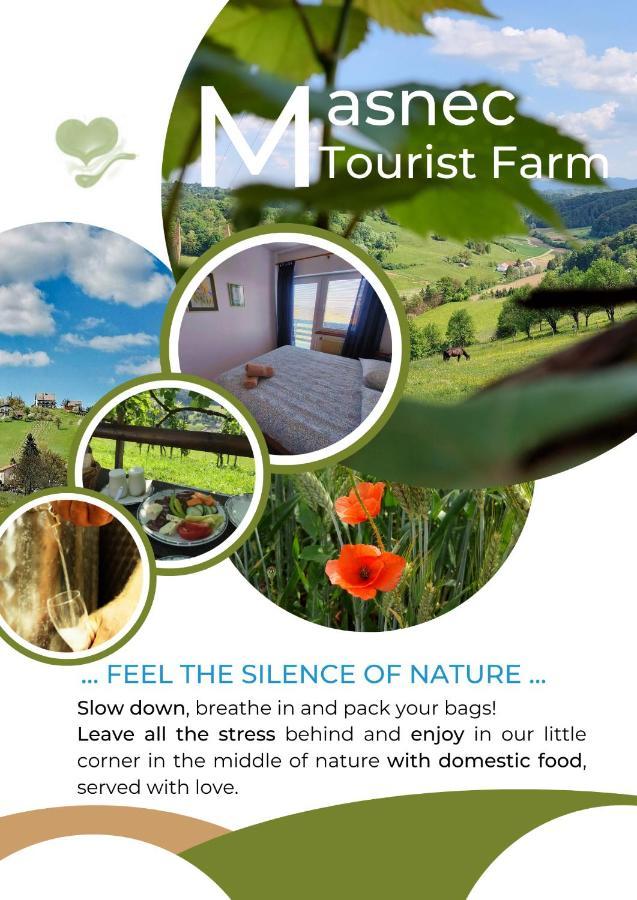 Masnec Tourist Farm Villa Miljana Dış mekan fotoğraf