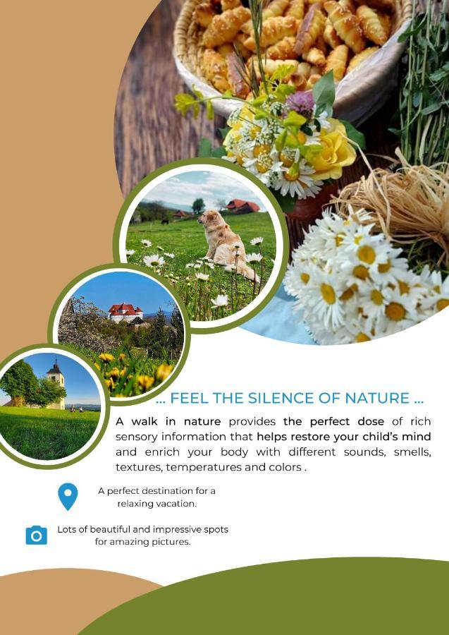 Masnec Tourist Farm Villa Miljana Dış mekan fotoğraf