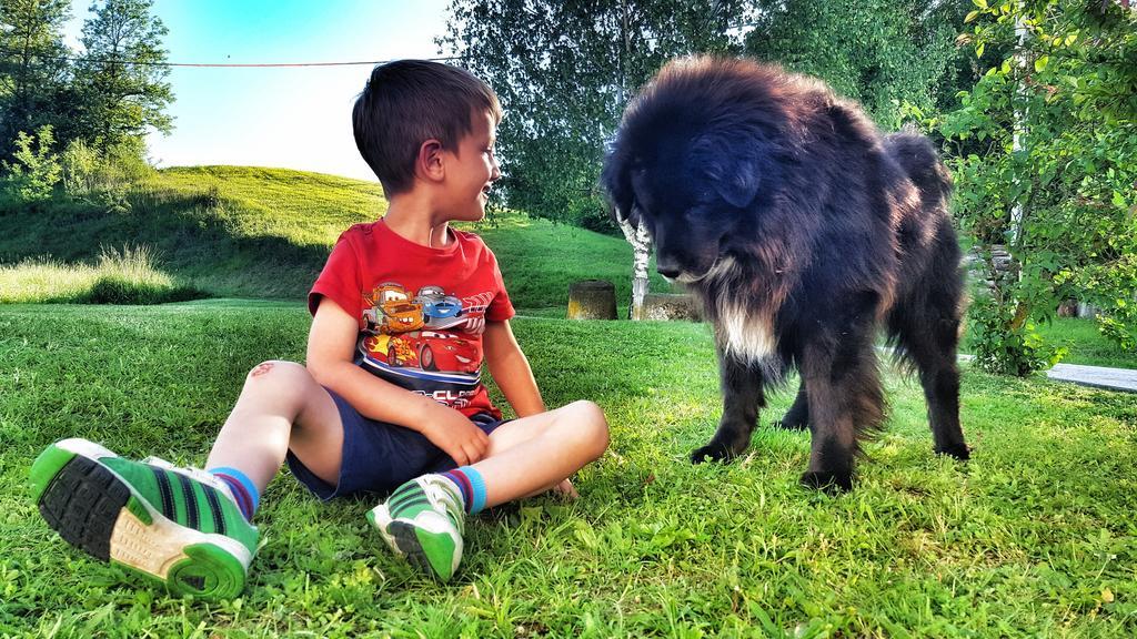 Masnec Tourist Farm Villa Miljana Dış mekan fotoğraf